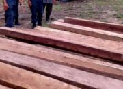 Kanit Tipidter Polres Solok Selatan Selidiki Dugaan Illegal Logging dan Perizinan Usaha Kayu