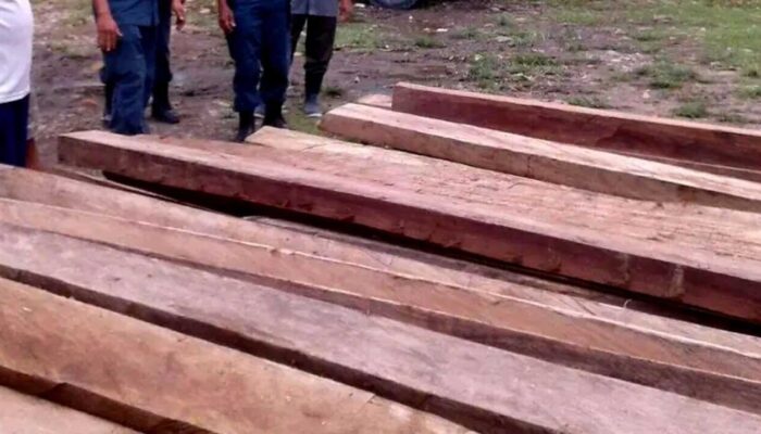 Kanit Tipidter Polres Solok Selatan Selidiki Dugaan Illegal Logging dan Perizinan Usaha Kayu