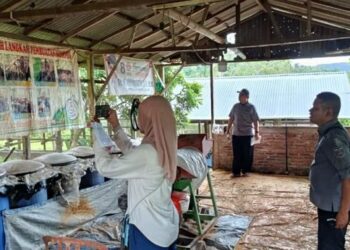 Di Tengah Guyuran Hujan, Sawahlunto Tuntaskan Penilaian Adipura Tahap II 2025