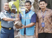 Dankodaeral II Terima 1000 Bibit Kepala dari PLN Induk Wilayah Sumbar, Diserahkan untuk Desa Binaan dan Masyarakat Maritim