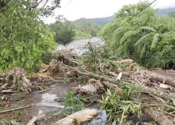 Satgas PKH Terbang ke Sumatera, Cari Bukti Dugaan Pembabatan Hutan Ilegal