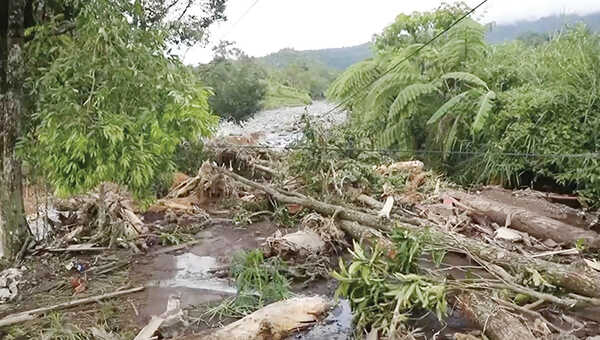 Satgas PKH Terbang ke Sumatera, Cari Bukti Dugaan Pembabatan Hutan Ilegal 1 DAMPAK BANJIR BANDANG— Salah satu dampak banjir bandang di Sumatera Barat. Kayu-kayu berserakan, memunculkan dugaan pembalakan liar.