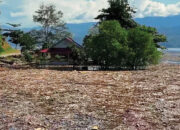 Menteri LH akan Pidanakan Pihak yang Sengaja Buang Kayu Gelondongan ke Aliran Sungai