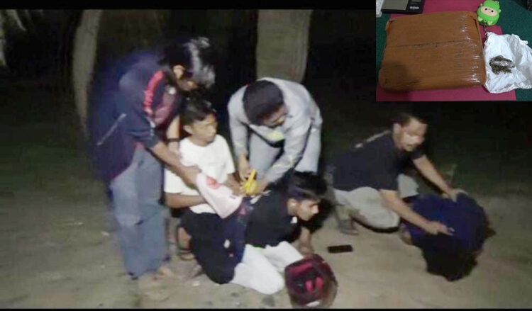 GANJA— Kedua pelaku dan barang bukti ganja yang ditangkap Tim Satresnarkoba Polres Dharmasraya.