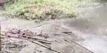 Air sungai Hitam dan Berbau Menyengat diduga Akibat Limbah PT Dharmasraya Lestarindo, Masyarakat Dihantui Ketakutan akan Wabah Penyakit 13 Air sungai Hitam dan Berbau Menyengat diduga Akibat Limbah PT Dharmasraya Lestarindo, Masyarakat Dihantui Ketakutan akan Wabah Penyakit