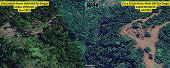 WALHI Ungkap Pembalakan Sistematis di Hulu Aia Dingin, Bantah Klaim Kayu Tumbang Alami
