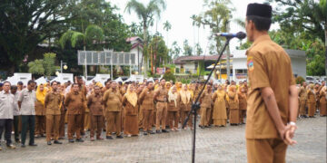 Jelang Perayaan HUT ke-22, Solsel Harus Menunjukkan Sebagai Kabupaten Pemekaran yang Sejahtera 9 ARAHAN— Wakil Bupati Solok Selatan H. Yulian Efi memberikan arahan saat Apel Gabungan ASN di Lingkungan Pemerintah Kabupaten Solok Selatan, Senin (29/12).