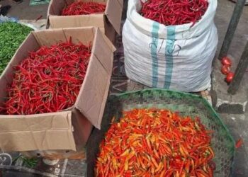 Sumbar Alami Deflasi 0,24 Persen pada November 2025, Dipicu Turunnya Harga Cabai, Jengkol dan Kentang