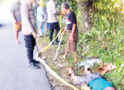 Diduga Korban Tabrak Lari, Perempuan Paruh Baya Ditemukan Tewas di Pinggir Jalan