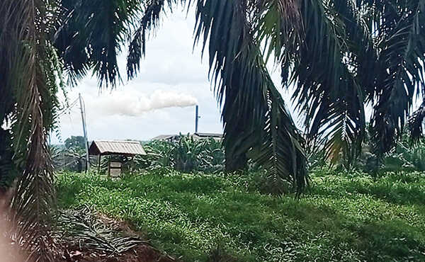 DLH Temukan Indikasi Kelalaian dalam Dugaan Kebocoran Limbah PT Dharmasraya Lestarindo 1 LALAI— Pabrik PT Dharmasraya Lestarindo yang diduga lalai sehingga menyebabkan kebocoran limbah hingga mencemari Sungai Koto Balai di Nagari Koto Padang.