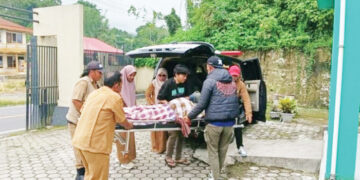 EVAKUASI— Petugas mengevakuasi korban yang ditemukan tewas diduga diserang tawon di  Jorong Subarang, Nagari Koto Baru, Kecamatan X Koto, Kabupaten Tanah Datar, Senin (29/12) siang.