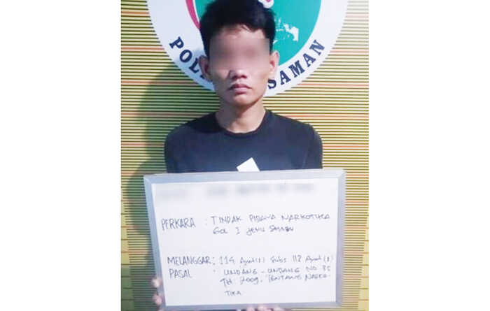 Berawal dari Laporan Warga, Pengedar Sabu Diciduk saat Dini Hari 1 PENGEDAR— Jajaran Satuan Reserse Narkoba Polres Pasaman mengamankan seorang pemuda yang diduga kuat terlibat dalam peredaran narkotika jenis sabu-sabu. Penangkapan dilakukan di rumah pelaku yang berada di Jorong II Pasar Rao, Nagari Taruang–Taruang Utara, Kecamatan Rao, Kabupaten Pasaman, Sabtu (13/12) sekitar pukul 01.00 WIB.