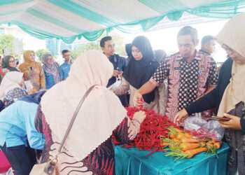 PANGAN MURAH— Dinas Perikanan dan Pangan Kota Padang menggelar Gerakan Pangan Murah (GPM) di Lapangan Tugu Apeksi Balaikota Padang, Aie Pacah, Kamis (11/12).