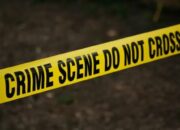 Polisi Bongkar Gudang Benih Lobster Ilegal di Tangerang, 30.000 Ekor Gagal Selundup ke Singapura