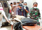 Hari ke-7 Pencarian Longsor Talamau, Bocah 7 Tahun Ditemukan Meninggal, Tiga Korban Masih Hilang