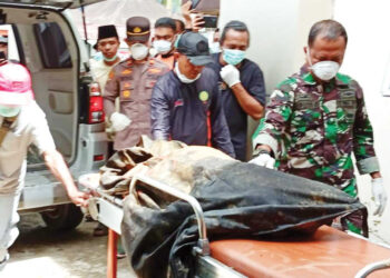 Hari ke-7 Pencarian Longsor Talamau, Bocah 7 Tahun Ditemukan Meninggal, Tiga Korban Masih Hilang