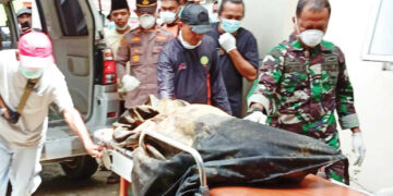 Hari ke-7 Pencarian Longsor Talamau, Bocah 7 Tahun Ditemukan Meninggal, Tiga Korban Masih Hilang 8 Hari ke-7 Pencarian Longsor Talamau, Bocah 7 Tahun Ditemukan Meninggal, Tiga Korban Masih Hilang