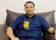 Kapal Bermuatan Kayu Asal Mentawai Terdampar, Defika: Ditjen Gakkum dan Satgas PKH Harus Bertindak 