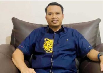 Kapal Bermuatan Kayu Asal Mentawai Terdampar, Defika: Ditjen Gakkum dan Satgas PKH Harus Bertindak 