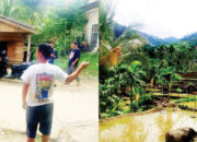 Jejak Harimau Ditemukan, Tim Gabungan Pasang Kamera Trap dan Batasi Aktivitas Warga