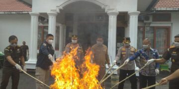 Kasus Narkoba Meningkat, Kejari Musnahkan BB 9 Kasus Narkoba Meningkat, Kejari Musnahkan BB