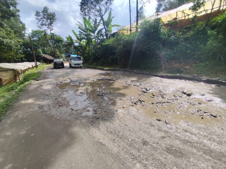 MEMIRISKAN—Beginilah kondisi Jalan Payakumbuh-Lintau masih dipenuhi titik-titik lubang sangat memiriskan. Pengendara diminta lebih hati-hati saat melewati ruas jalan tersebut.