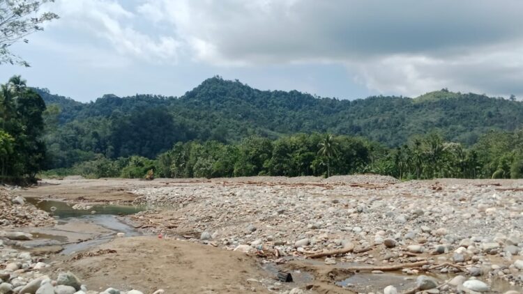 Warga di Kecamatan Bayang, Pessel Harapkan Normalisasi Sungai Batang Bayang 1 Kondisi sungai Batang Bayang butuh normalisasi sungai secapatnya
