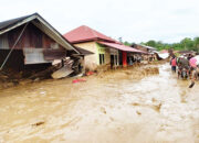 Operasi Pencarian Korban Banjir Bandang di Pelembayan, Lumpur yang Dalam dan Areal yang Luas jadi Kendala