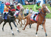 Pacu Kuda Bukittinggi–Agam Open Race 2025, Galang Donasi Untuk Korban Bencana Alam