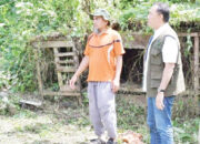 Tinjau Lokasi Huntara di Maninjau, Wabup Dorong Percepatan Pembangunan