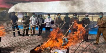 PEMUSNAHAN BB— Polres Padang Pariaman melakukan pemusnahan BB hasil pengungkapan sepanjang tahun 2025, Senin (29/12).