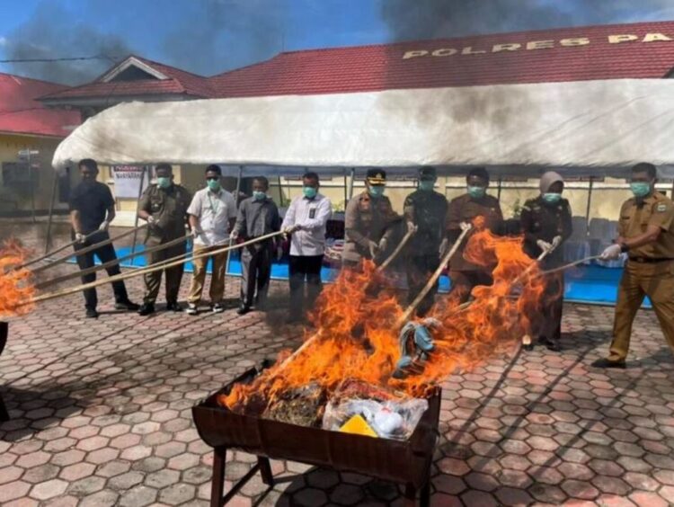 Hasil Pengungkapan Sepanjang Tahun 2025, Polres Padang Pariaman Musnahkan 26,8 Kg Ganja dan Ratusan Botol Miras 1 PEMUSNAHAN BB— Polres Padang Pariaman melakukan pemusnahan BB hasil pengungkapan sepanjang tahun 2025, Senin (29/12).