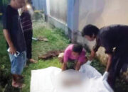 Penemuan Mayat Bayi Gegerkan Warga Muntei Mentawai, Polisi Buru Pembuang Bayi