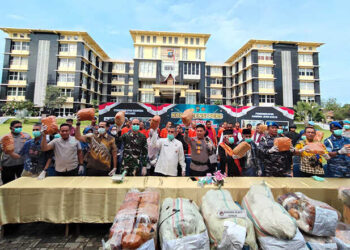 PERLIHATKAN BUKTI— Wakapolda Sumbar, Brigjen Pol Solihin didampingi pejabat utama dan Forkopimda Sumbar memperlihatkan barang bukti ganja hasil penangkapan di daerah Kabupaten Pasaman.