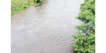 Sungai Suil kembali Menghitam, Warga Sinamar Desak Pemerintah Tindak Tegas PT TKA 13 Sungai Suil kembali Menghitam, Warga Sinamar Desak Pemerintah Tindak Tegas PT TKA