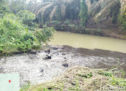 Sungai Tercemar Diduga Limbah PT TKA, Bupati Dharmasraya: Harus Disanksi Tegas