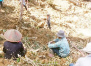 Pencarian 67 Korban Hilang di Palembayan Terus Dikebut, 157 Jenazah Sudah Ditemukan