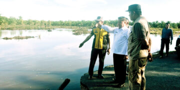 Bupati Tinjau Jembatan Putus di Tiku V Jorong, Upayakan Pamasangan Jembatan Bailey