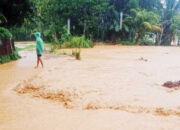 Waspada! Hujan Seharian, BPBD Ingatkan Warga Jauhi Aliran Sungai