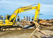 PT Semen Padang Bersihkan Hamparan Kayu Gelondongan di Pantai Parupuk, Wamenhut: Target 3 Hari Bersih!