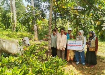 KEPEDULIAN PADA RAKYAT— YBM PLN UID Sumatera Barat terus menunjukkan kepedulian dan keberpihakannya kepada rakyat. Sejak akhir November hingga awal Desember 2025, bantuan kemanusiaan disalurkan secara masif dan berkesinambungan ke sejumlah daerah terdampak bencana.