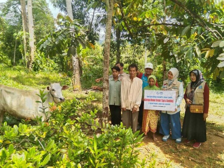 Di Tengah Bencana, YBM PLN Hadir Menguatkan Rakyat Sumatera Barat 1 KEPEDULIAN PADA RAKYAT— YBM PLN UID Sumatera Barat terus menunjukkan kepedulian dan keberpihakannya kepada rakyat. Sejak akhir November hingga awal Desember 2025, bantuan kemanusiaan disalurkan secara masif dan berkesinambungan ke sejumlah daerah terdampak bencana.