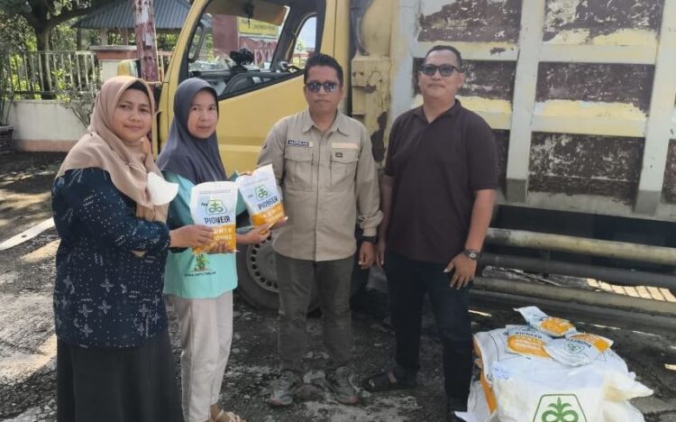 SALURKAN BANTUAN—  Bantuan bibit jagung hibrida disalurkan Dinas Ketahanan Pangan Pertanian dan Perikanan (DKP3) Sawahlunto untuk pertanaman seluas 108 ha dengan varietas Pioneer 89 (P 89), Jumat (19-20/12) tahun  2025.