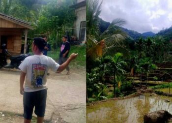 Jejak Harimau Ditemukan di KPGD Solsel, Tim Gabungan Pasang Kamera Trap dan Batasi Aktivitas Warga