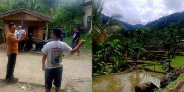 Jejak Harimau Ditemukan di KPGD Solsel, Tim Gabungan Pasang Kamera Trap dan Batasi Aktivitas Warga 11 Jejak Harimau Ditemukan di KPGD Solsel, Tim Gabungan Pasang Kamera Trap dan Batasi Aktivitas Warga