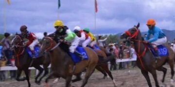12 Kuda Derby akan Berpacu di Gelanggang Pacuan Kandi Sawahlunto