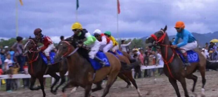 PACU KUDA— Sejumlah kuda derby berpacu mengejar finish di Gelanggang Pacuan Kandi Sawahlunto, Minggu (7/12).