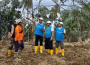 PLN Terus Kebut Siang Malam Perbaiki Jalur Listrik Langsa-Pangkalan Brandan, Penopang Pemulihan Kelistrikan Aceh