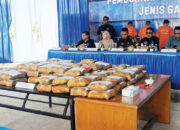 BNNP Sumbar Musnahkan 95,5 Kg Ganja asal Sumut, 2 Kurir dan Pengendali Ditangkap