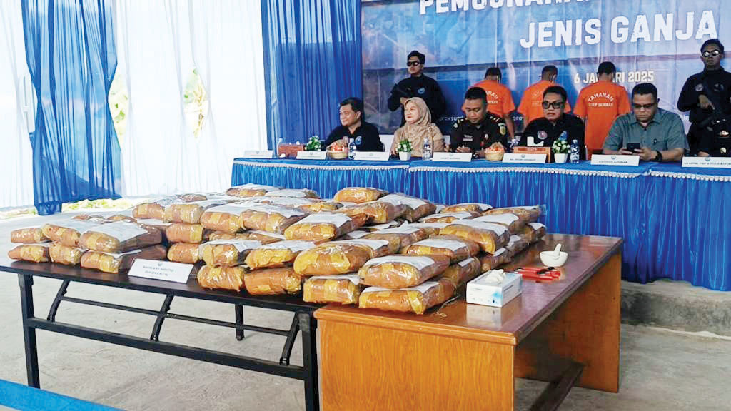 BNNP Sumbar Musnahkan 95,5 Kg Ganja asal Sumut, 2 Kurir dan Pengendali Ditangkap